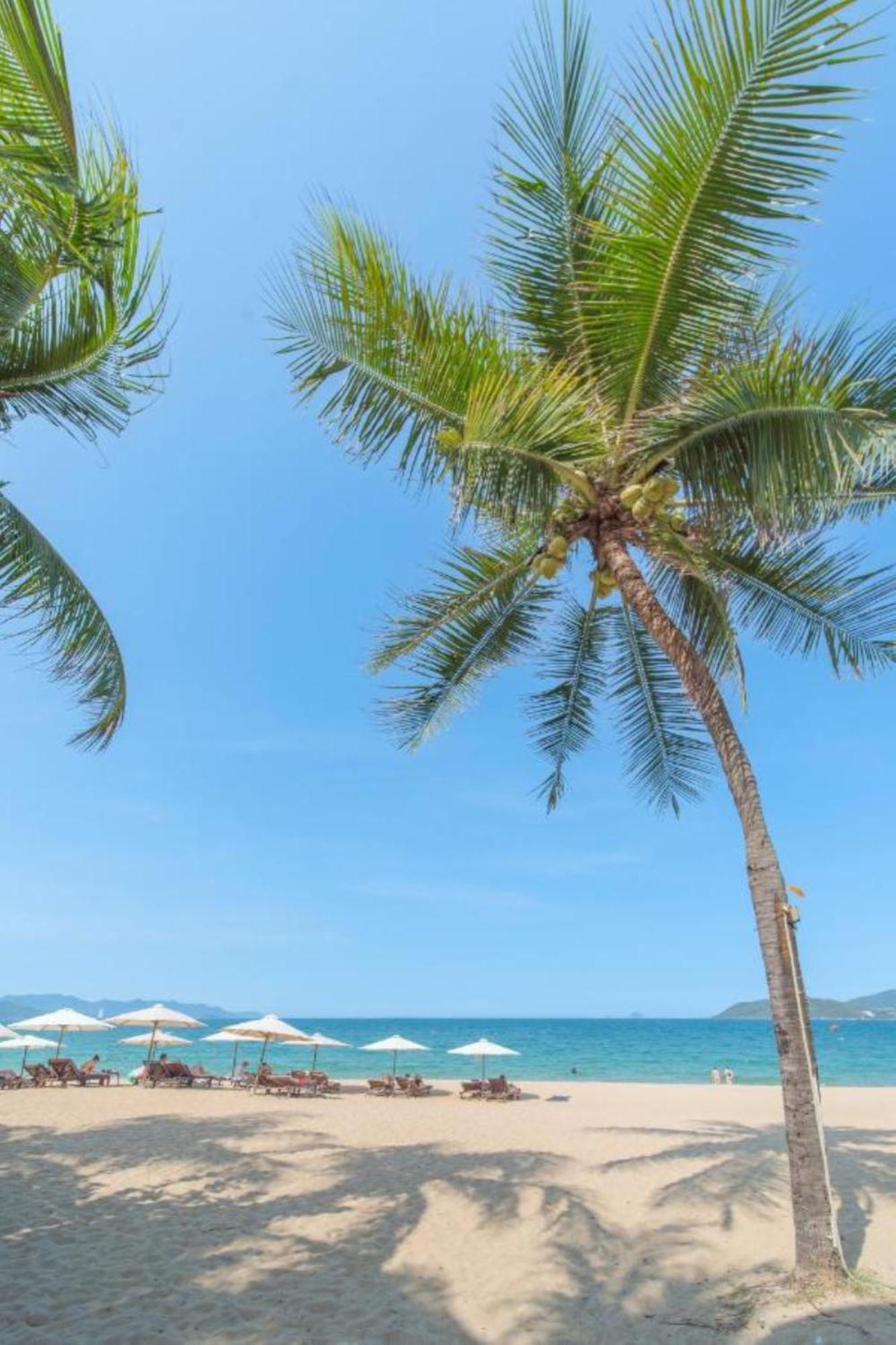 Nami Hotel Nha Trang Eksteriør billede